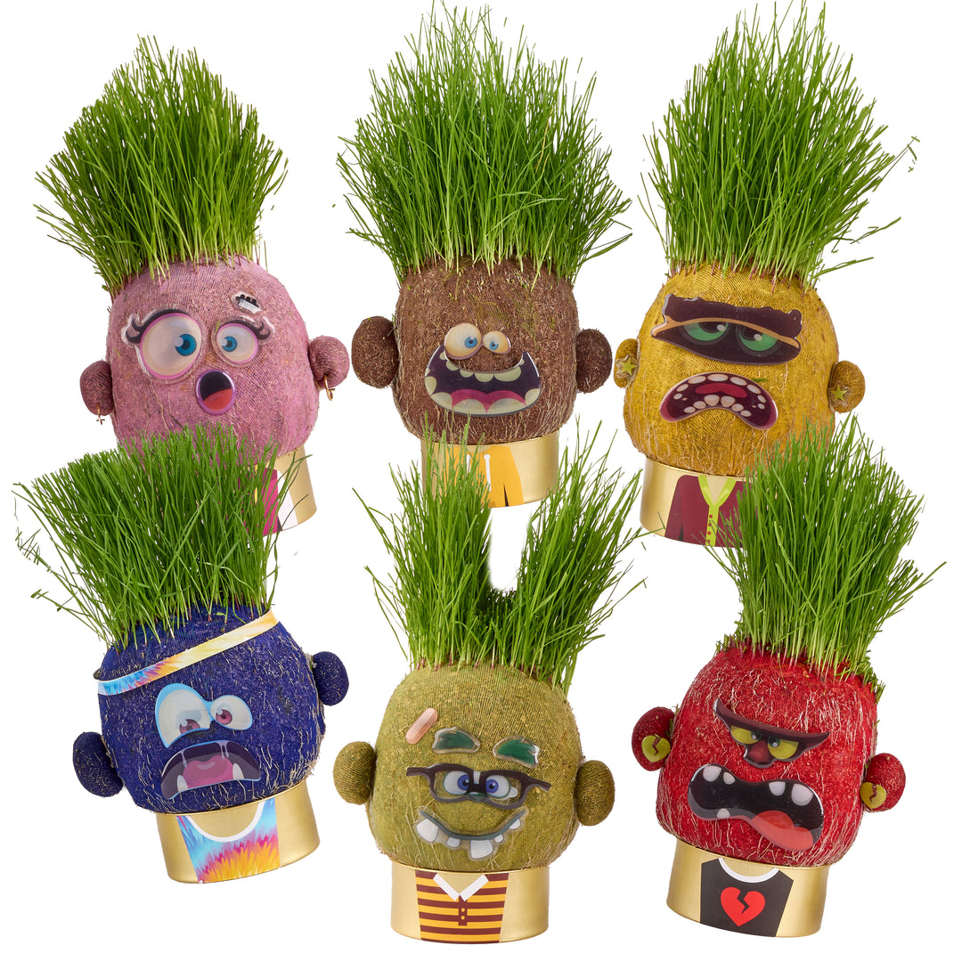Colorful toy heads with grass hair - plant pals selection grass hair growing toys